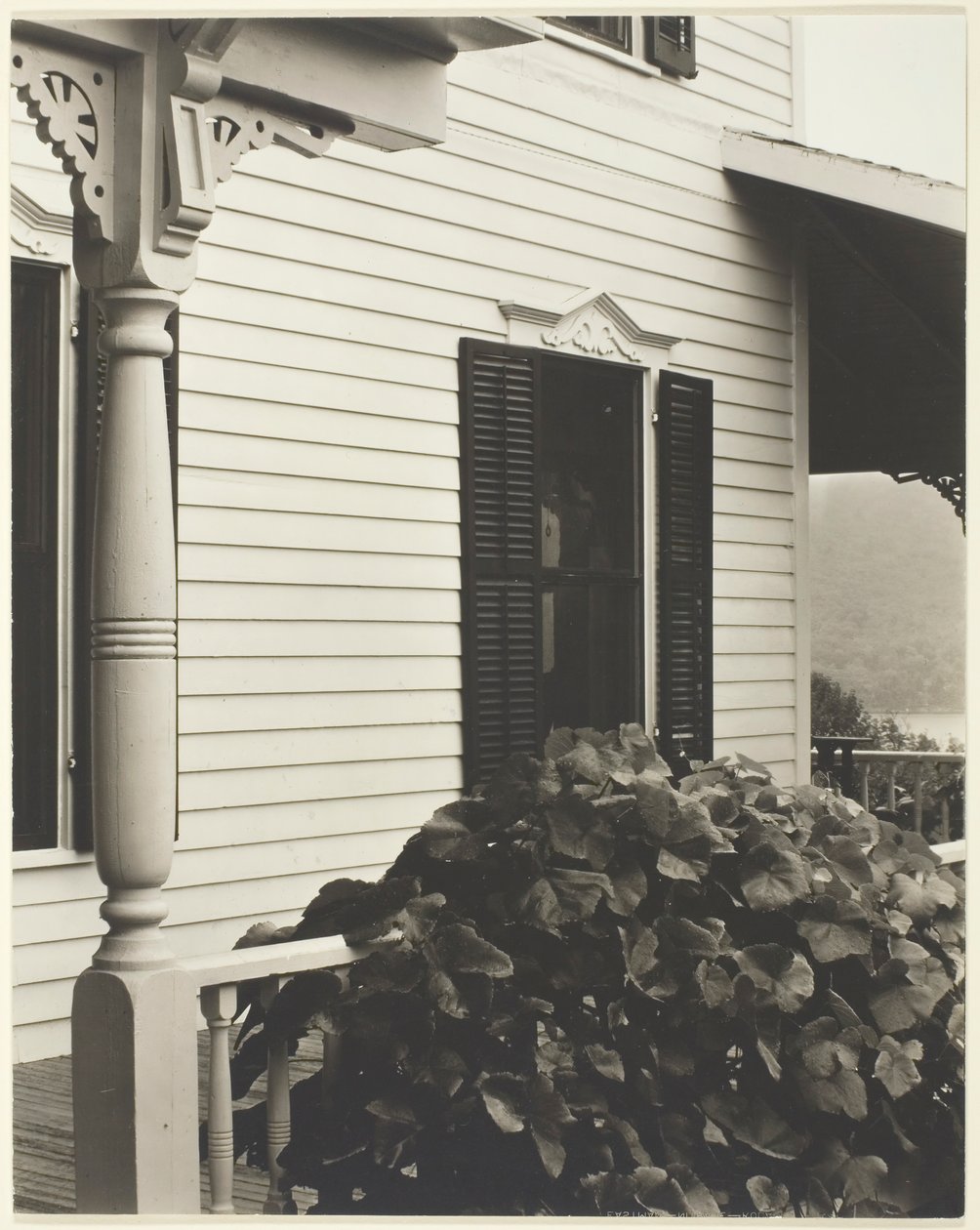 House and Grape Leaves, 1934 by Alfred Stieglitz