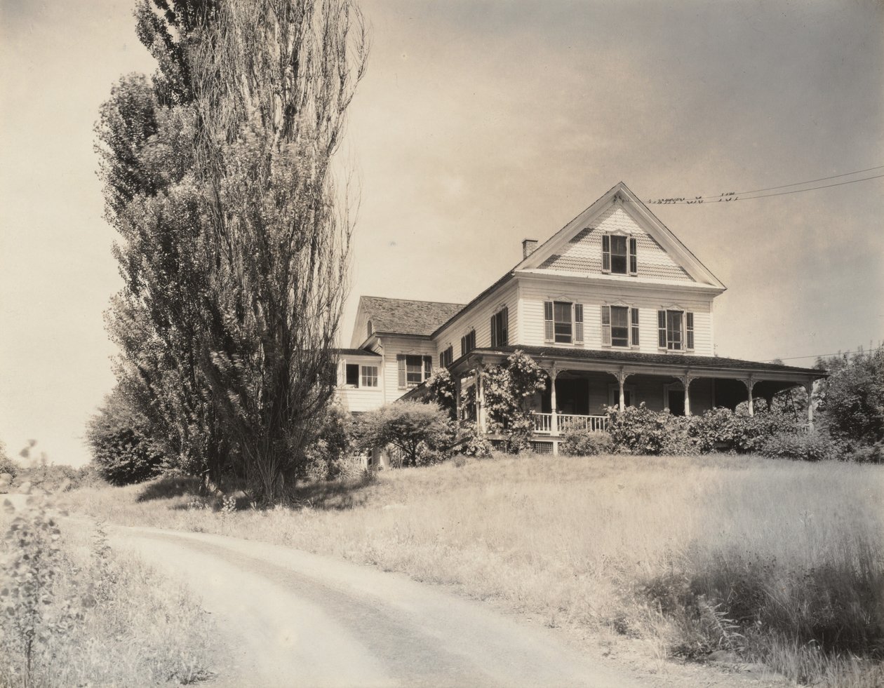 House and Poplars, Lake George by Alfred Stieglitz