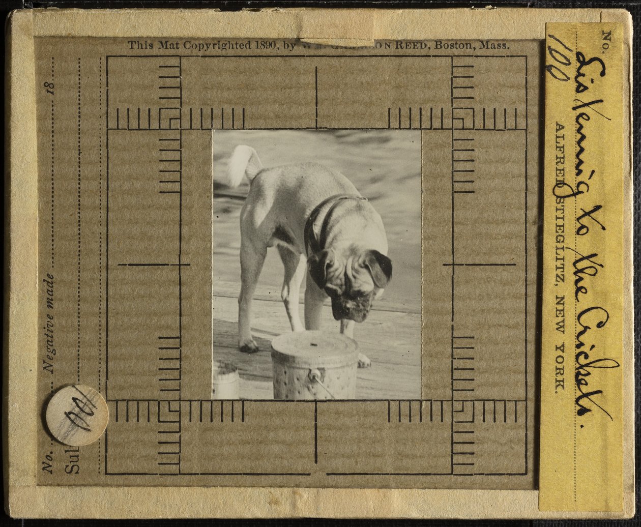 Listening to the Crickets by Alfred Stieglitz