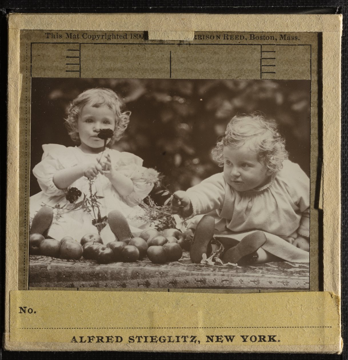 Nieces - Flora Holding Flower, and Hedwig by Alfred Stieglitz