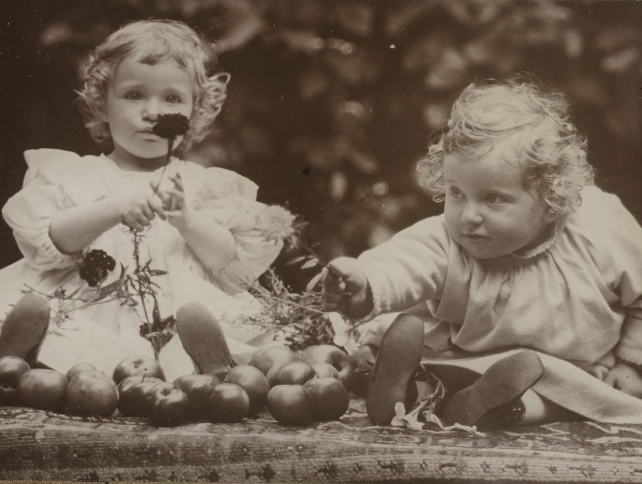 Nieces - Flora Holding Flower, and Hedwig by Alfred Stieglitz