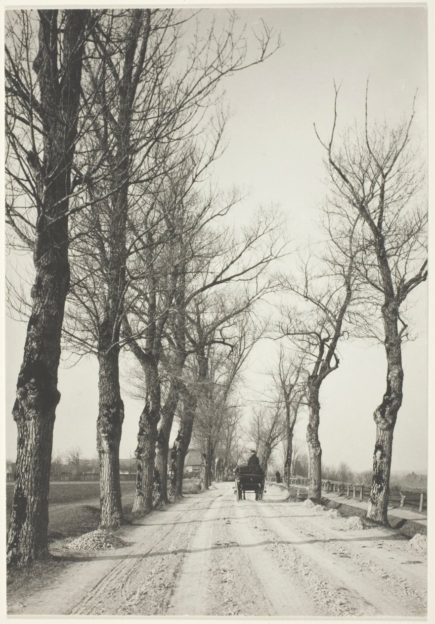 November Days by Alfred Stieglitz