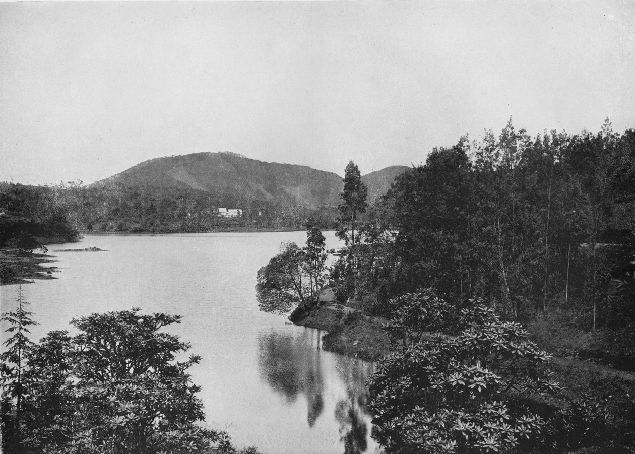 A Corner of Nuwara Eliya Lake by Alfred William Amandus Plate
