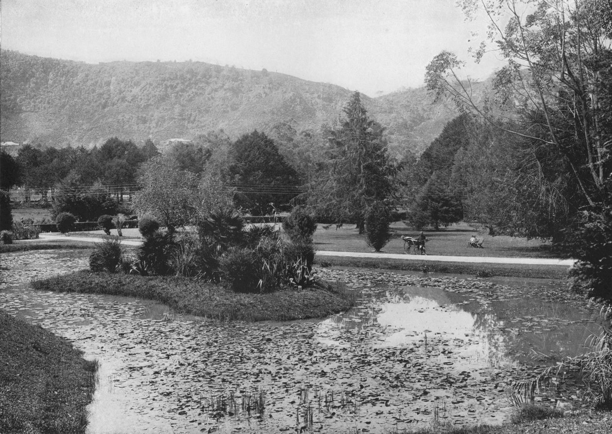 Hakgalla Gardens from the Lotus Pond, Nuwara Eliya by Alfred William Amandus Plate