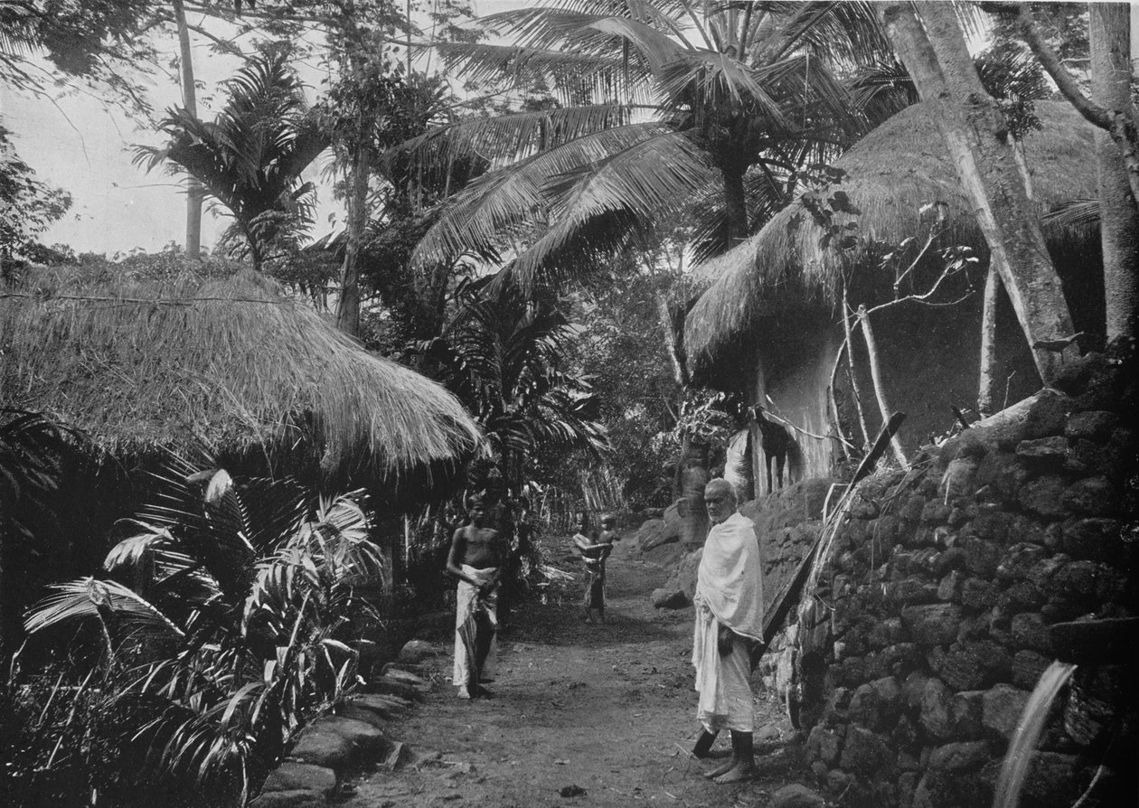 Native Huts in the Jungle by Alfred William Amandus Plate