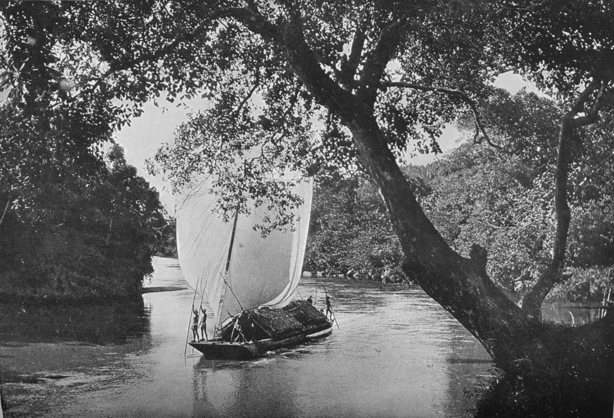 Padda Boat in Full Sail by Alfred William Amandus Plate