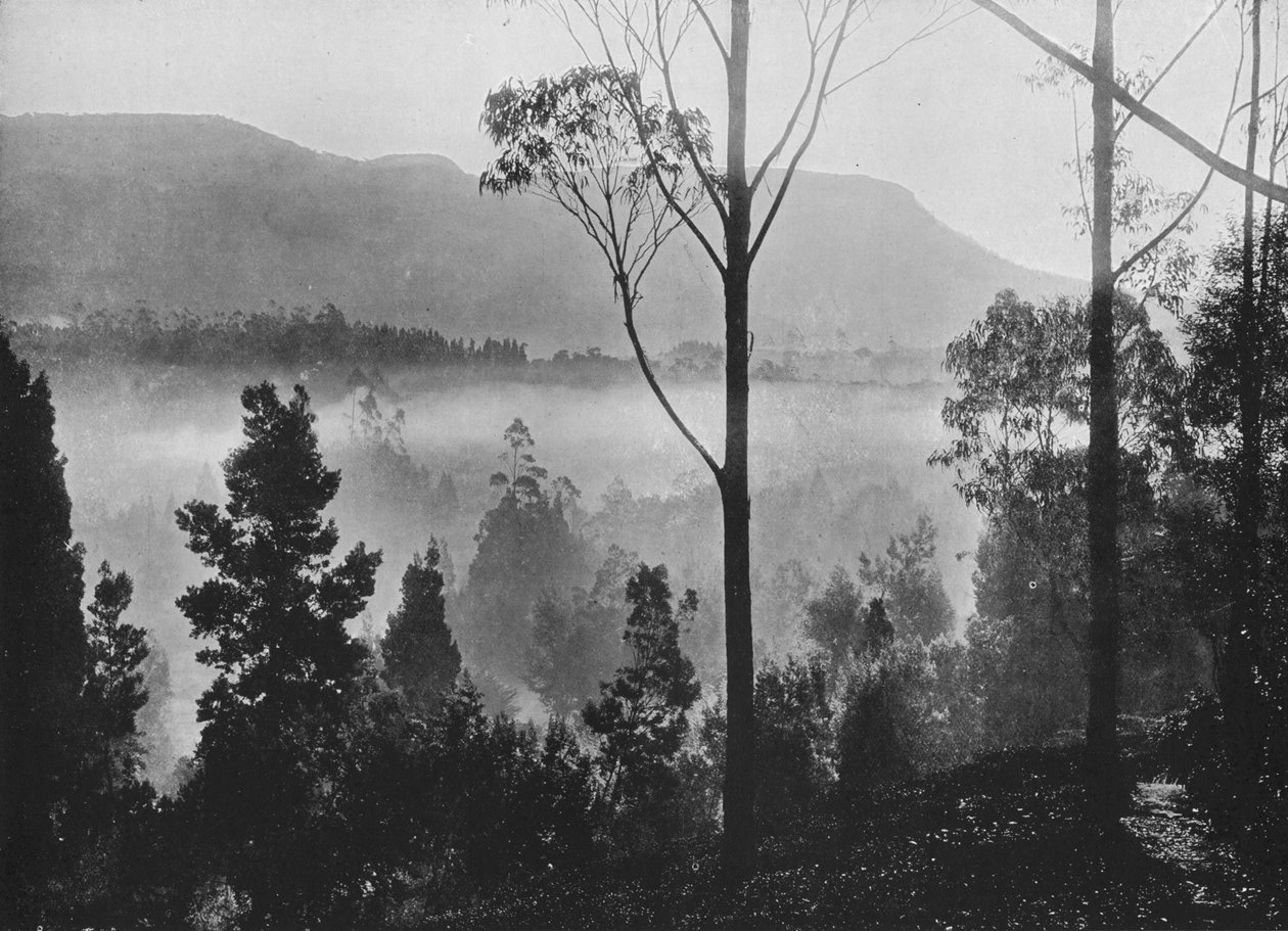 The Early Morning Mist Rising at Nuwara Eliya by Alfred William Amandus Plate