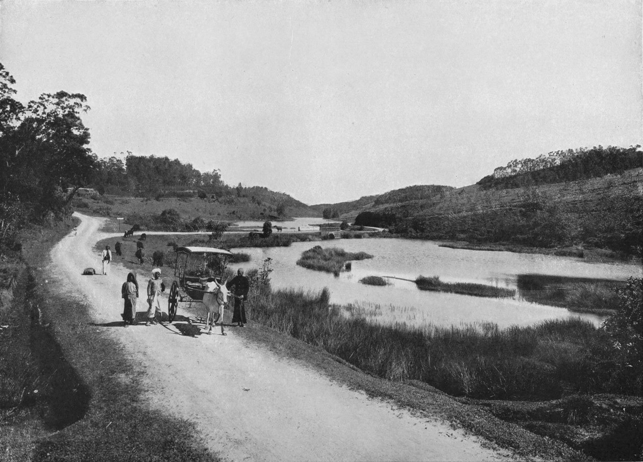 The Moon Plains, Nuwara Eliya, c1890, 1910 by Alfred William Amandus Plate