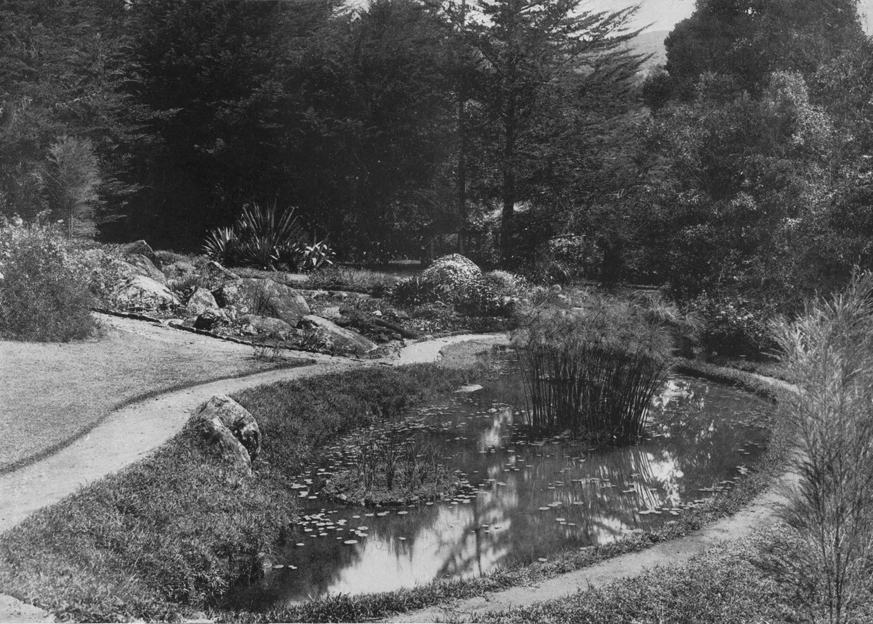 The Rock Garden, Hakgalla Gardens, Nuwara Eliya by Alfred William Amandus Plate