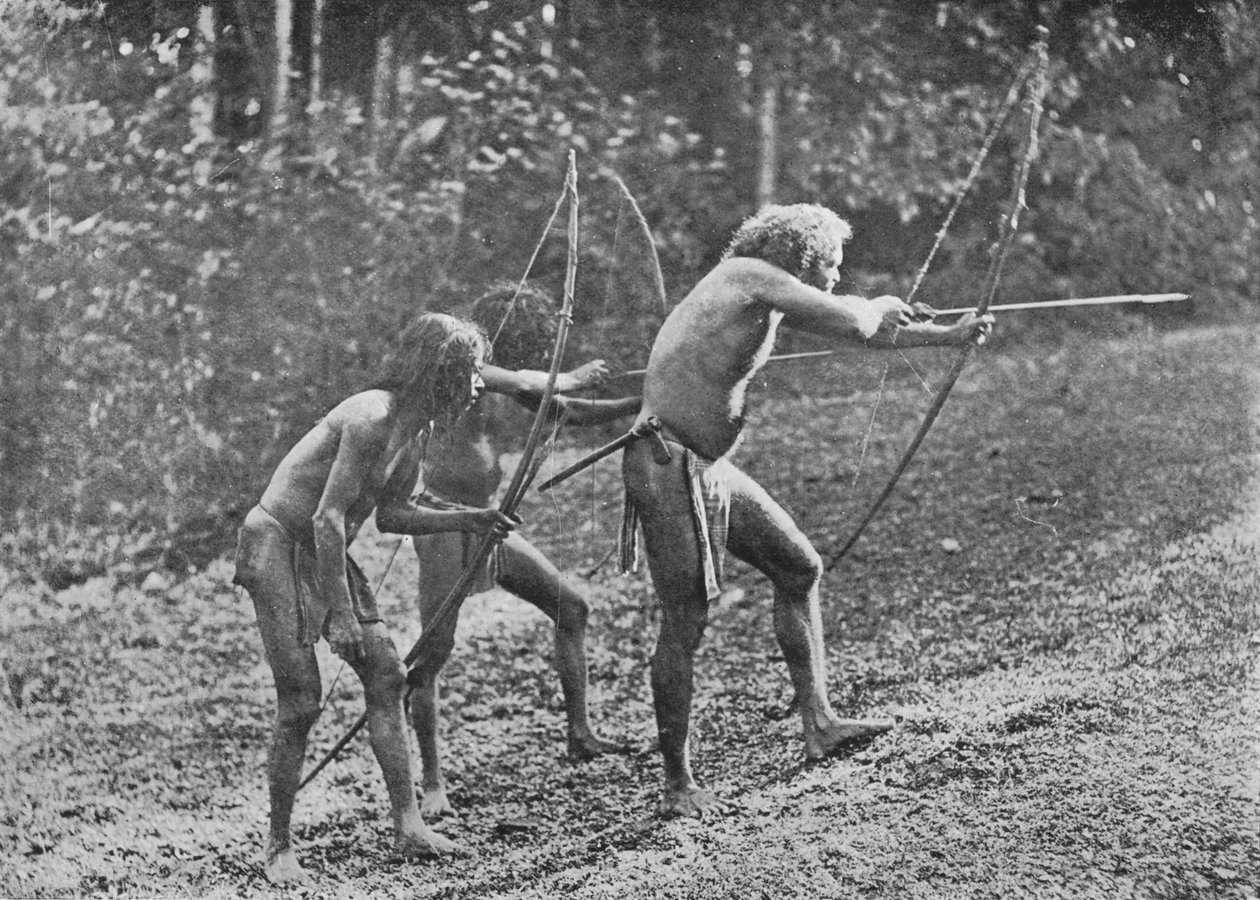 Veddahs or Wild Men by Alfred William Amandus Plate