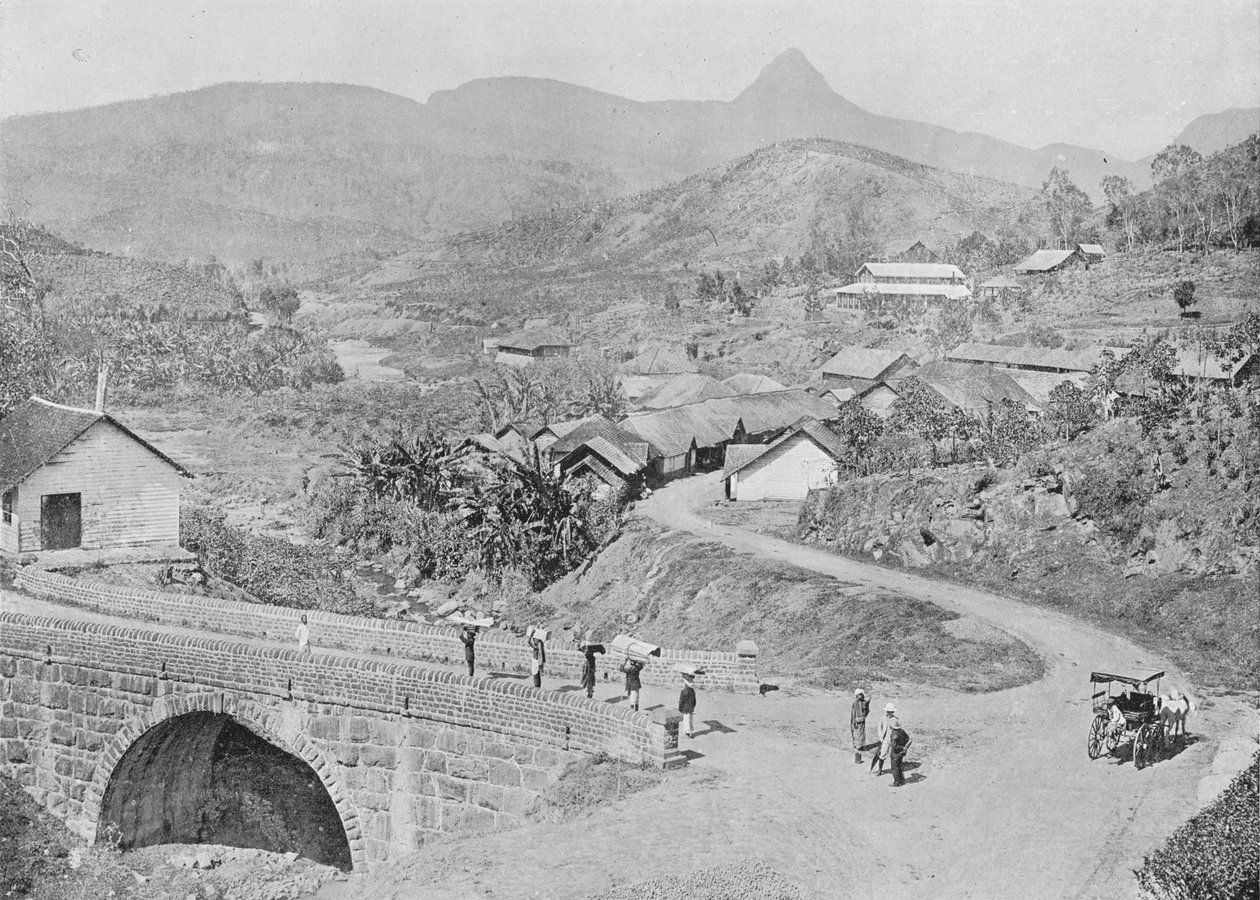 View of Maskeliya showing Adams Peak, c. 1890, 1910 by Alfred William Amandus Plate