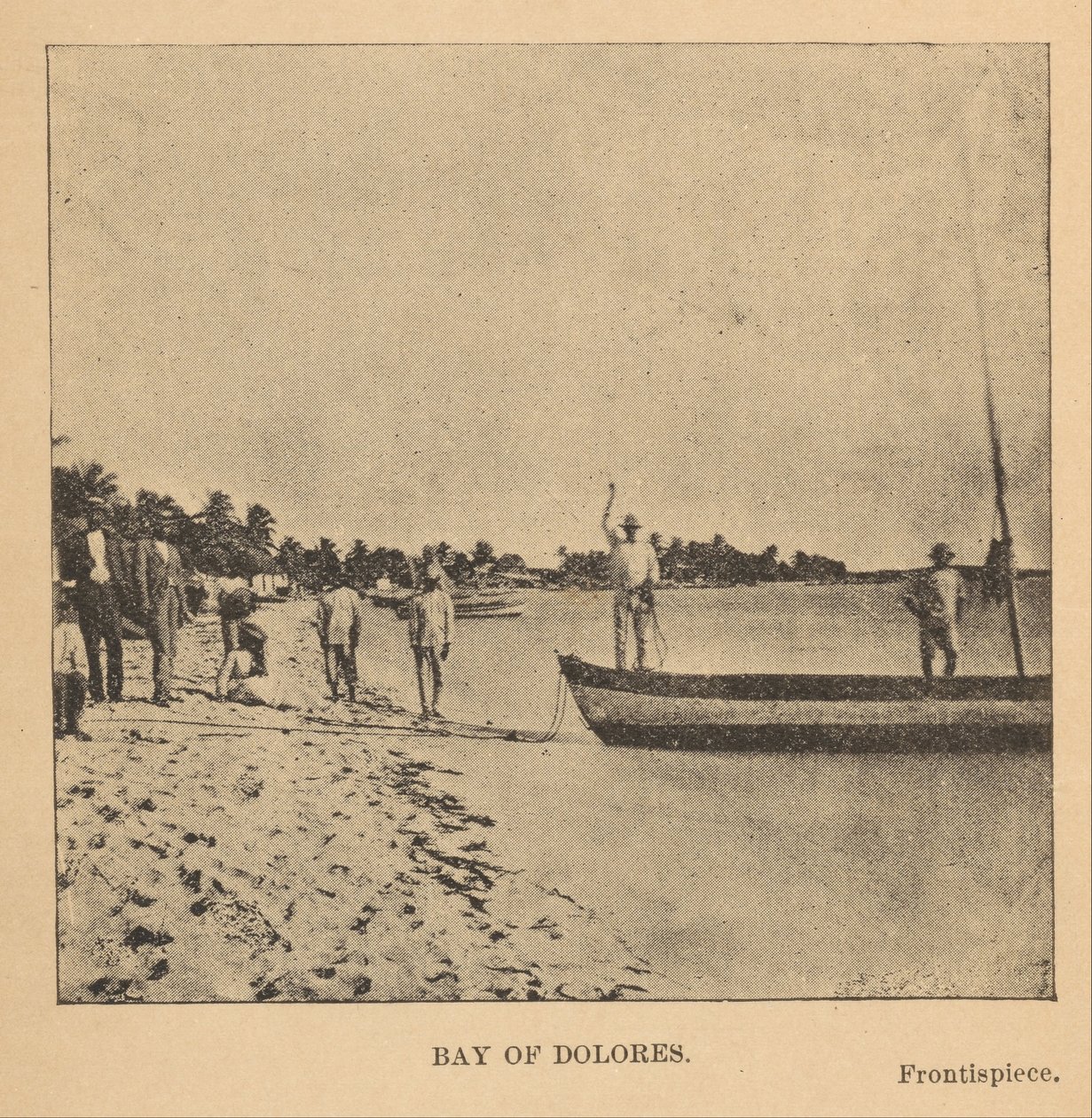 Bay of Dolores by Alice Dixon Le Plongeon