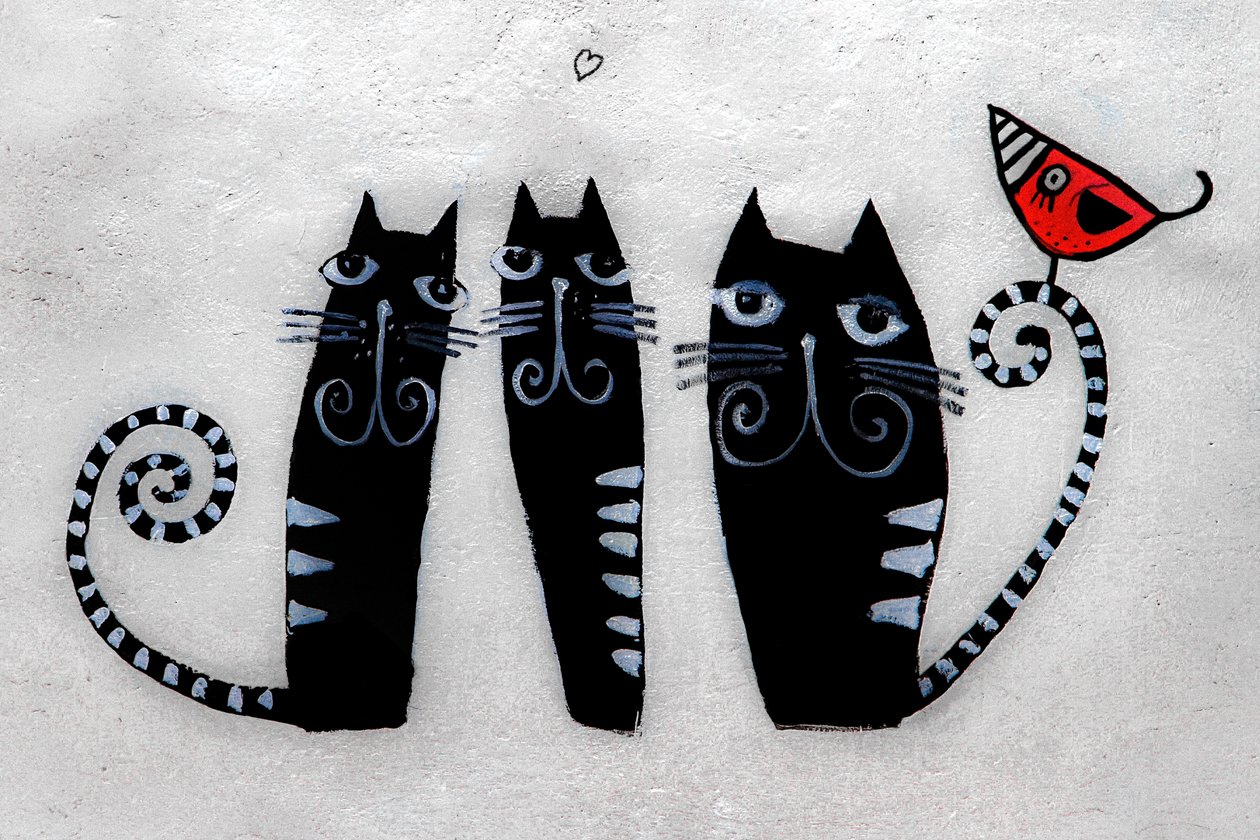 3 cats from Krakow by Alice Gur-Arie