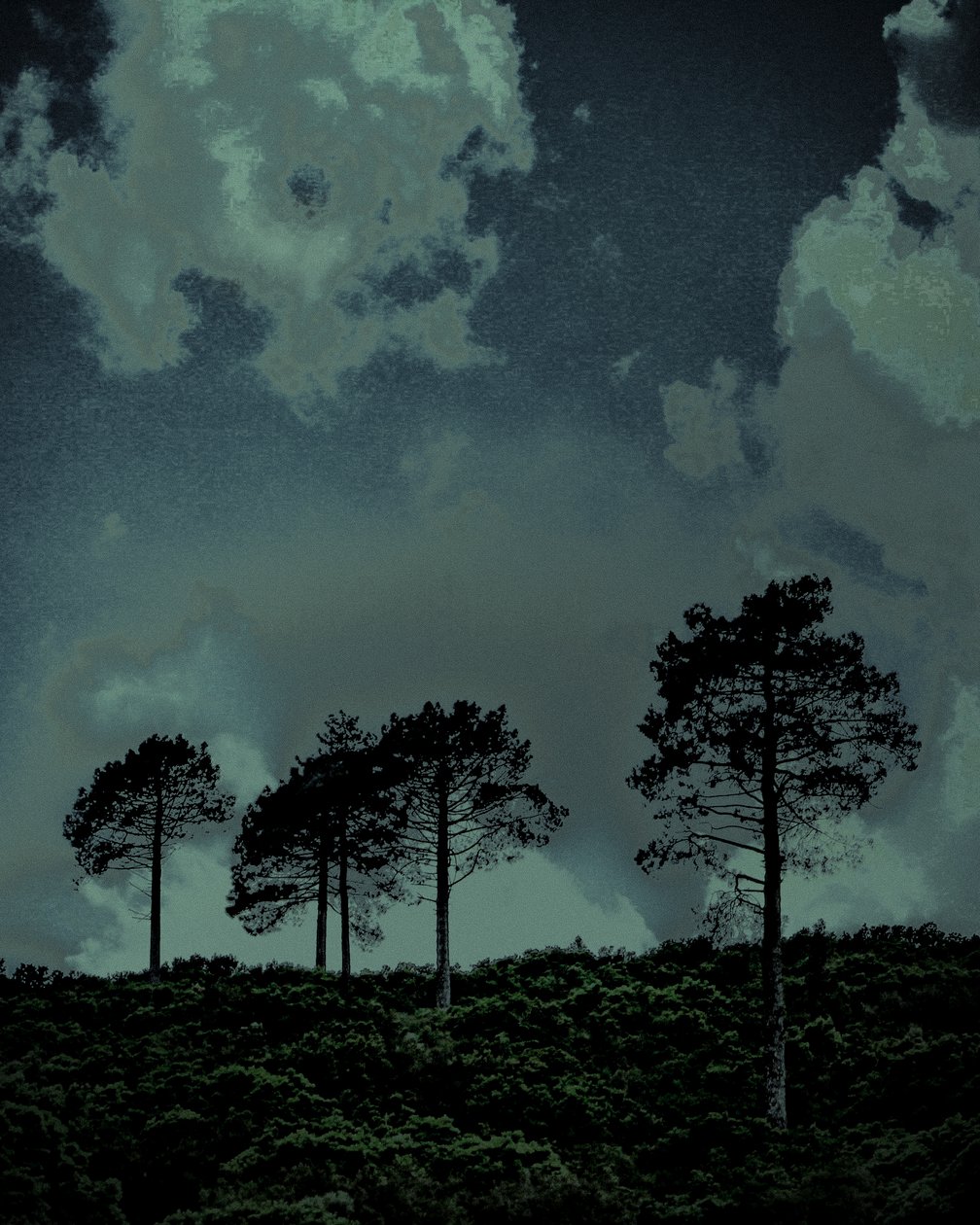 Last Light, 2018 by Alice Gur-Arie