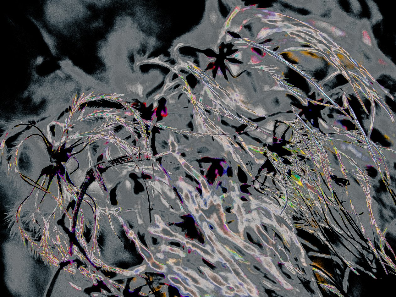 Countryfile, 2015 by Alice Gur Arie