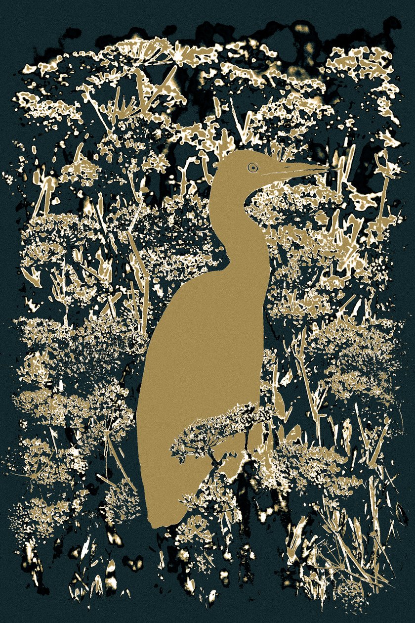 Royal Egret, 2015 by Alice Gur Arie