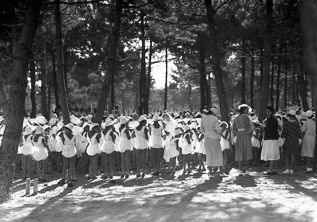 Villa Rosa Maltoni Mussolini: female students gathered in the pine grove by Fratelli Alinari