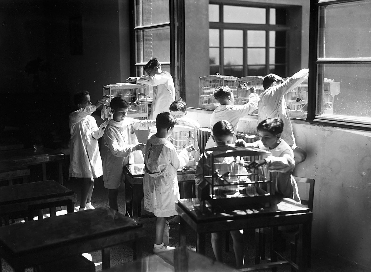 Villa Rosa Maltoni Mussolini: students observing caged birds by Fratelli Alinari