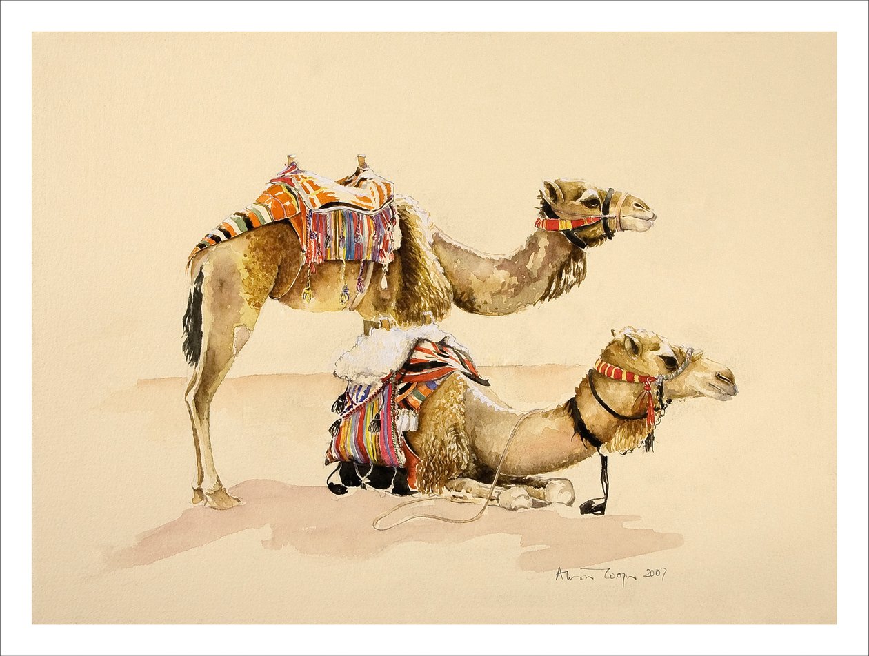 Camels from Petra, 2007 by Alison Cooper