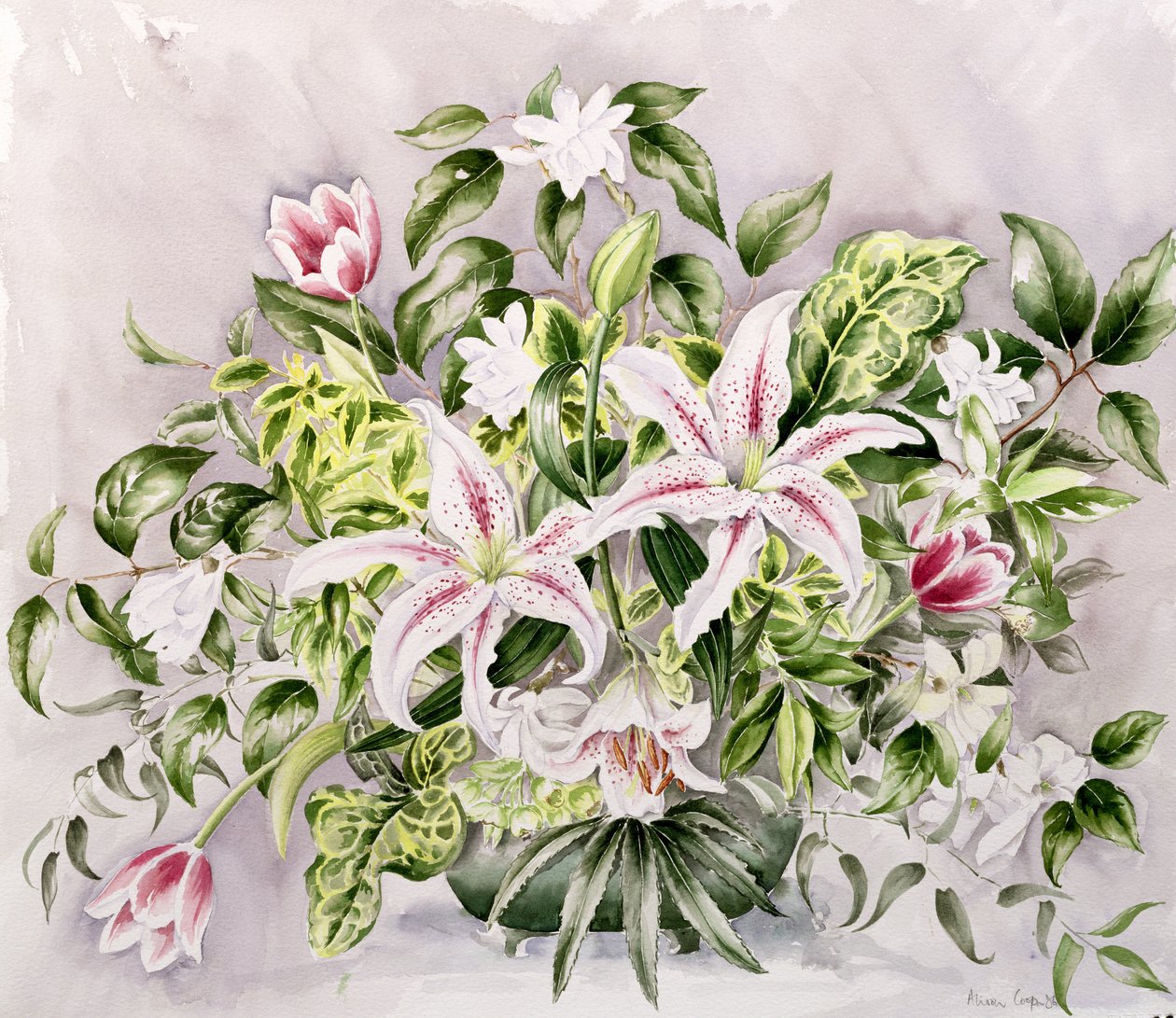 Still life with Lilies by Alison Cooper