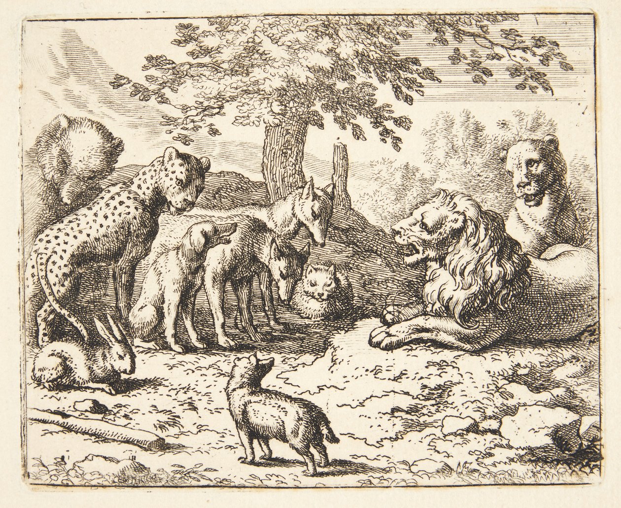 The Lion