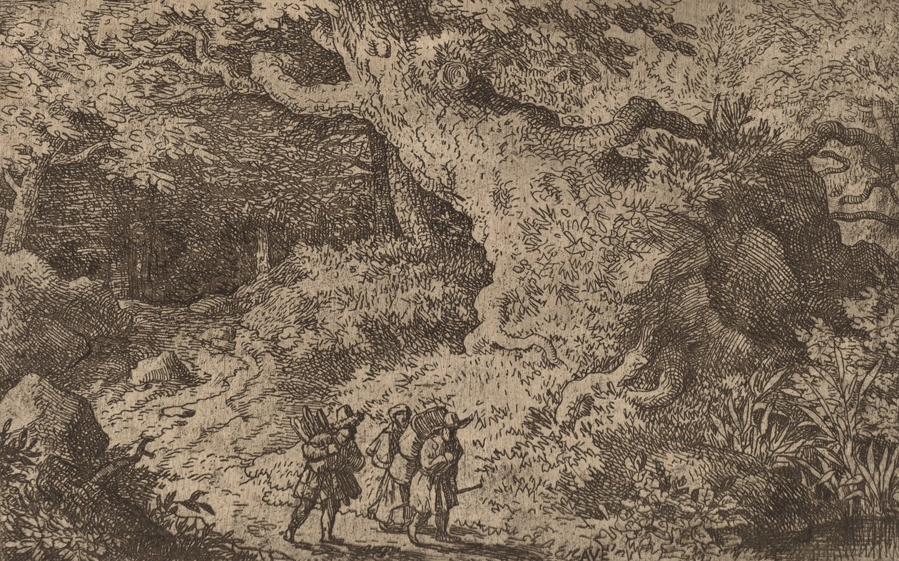 A Thick Forest by Allart van Everdingen