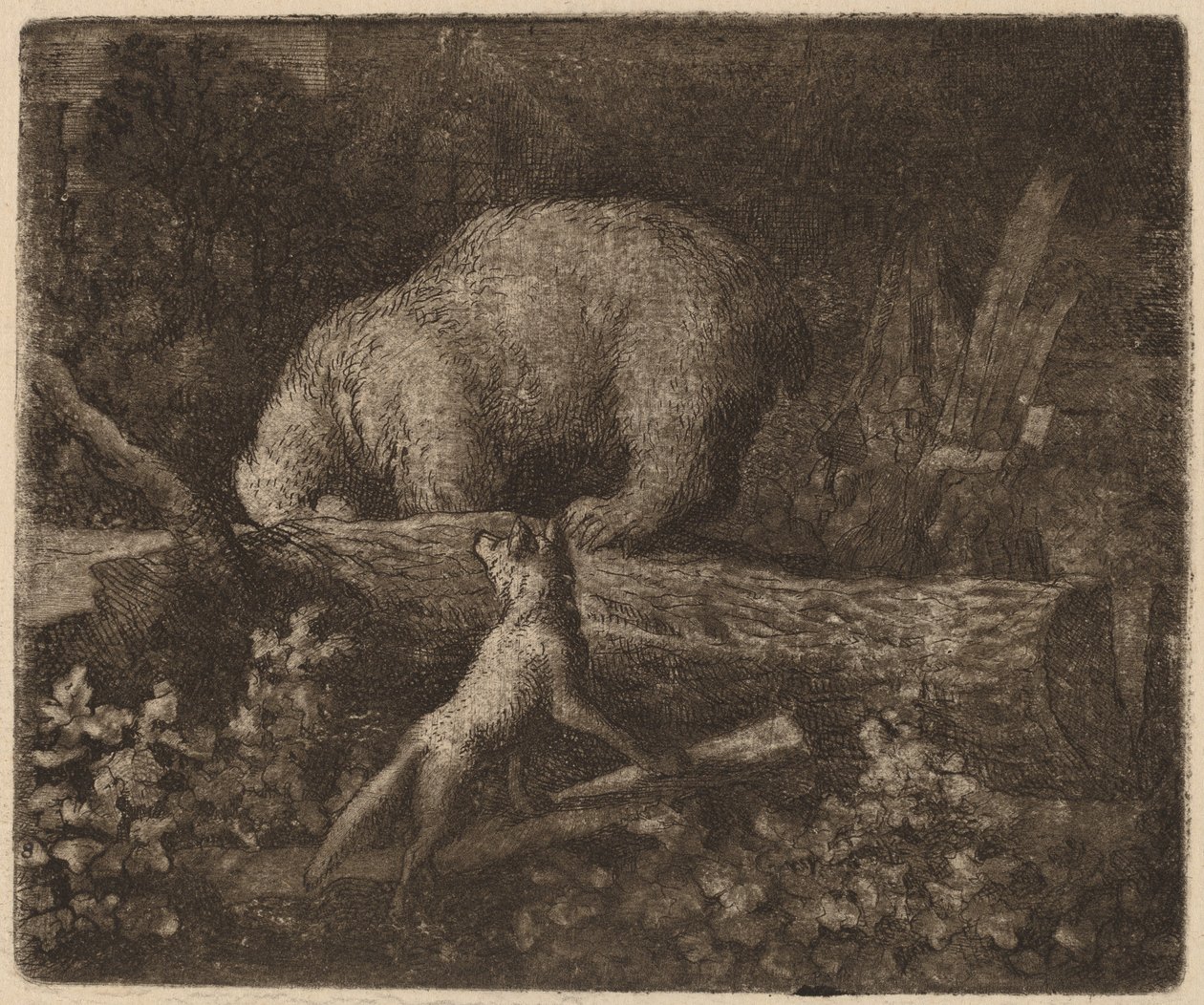 The Bear Trapped by Allart van Everdingen
