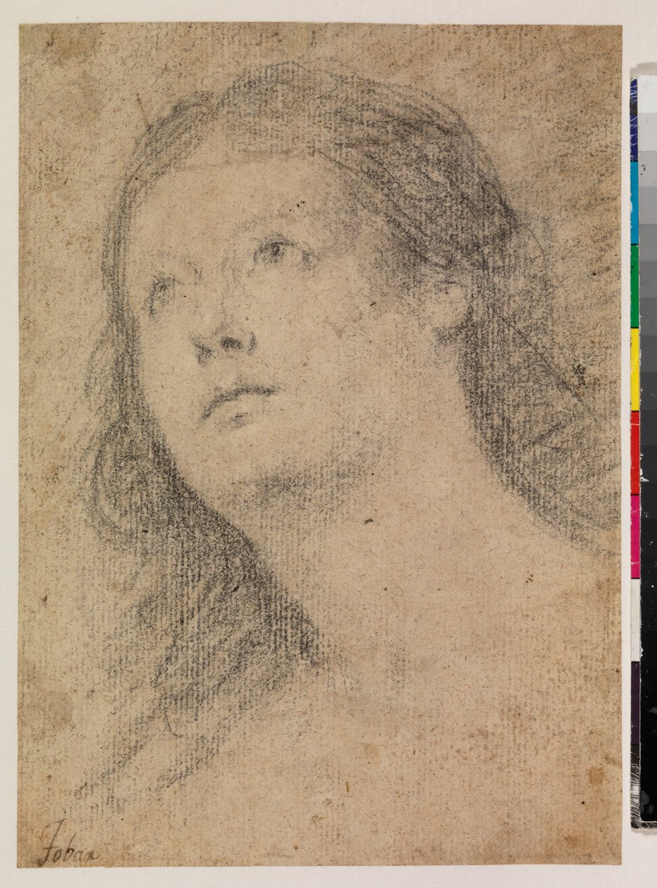 Head of a woman gazing up by Alonso Miguel de Tovar