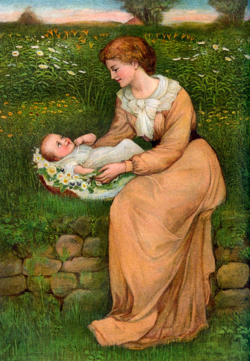 A Bed of Daisies, 1905 by Alphage Brewer