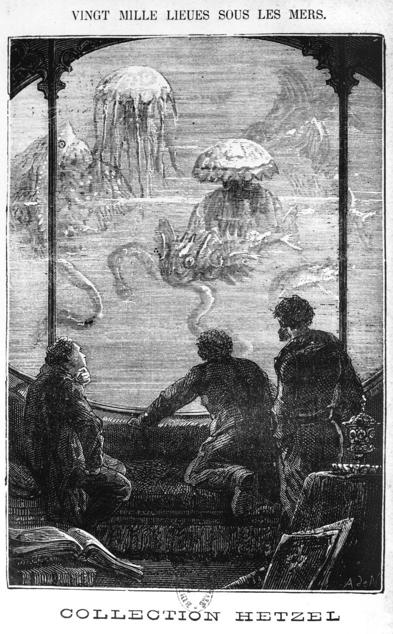 The Nautilus Passengers, Illustration from 
