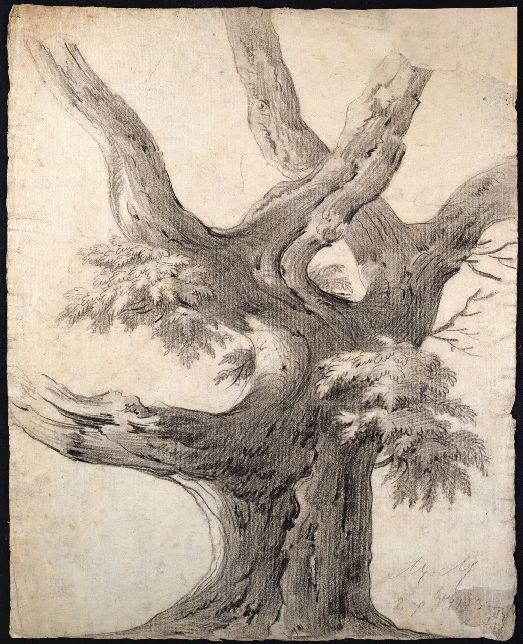 Study of a Tree, 1823 by Alphonse Nicolas Michel Mandevare