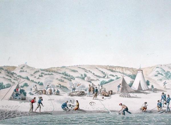 Baie des Chiens Marins, New Holland: The Camp of l