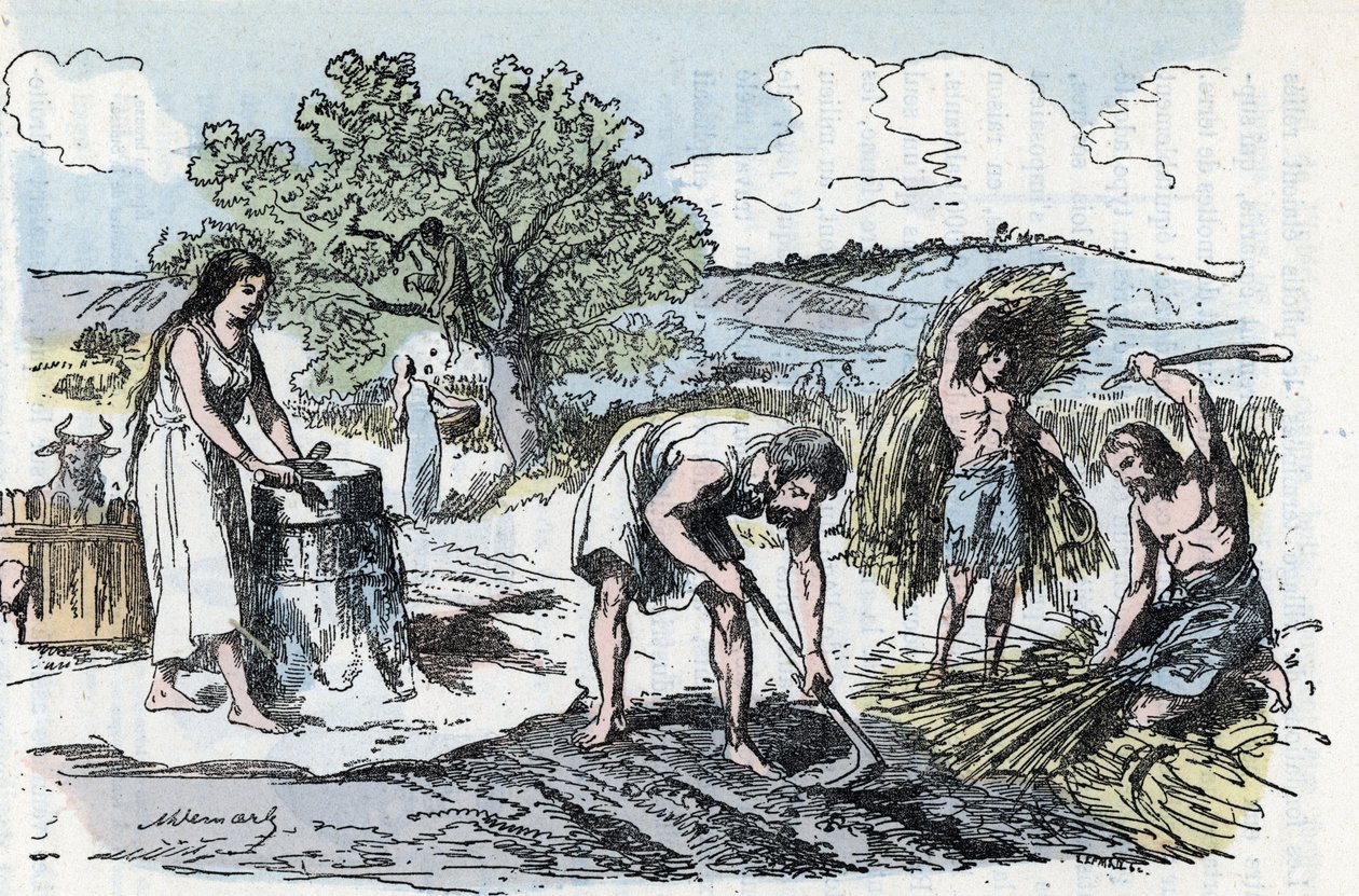 Daily life in Prehistory: scene of agricultural work in the age of iron Engraving from 