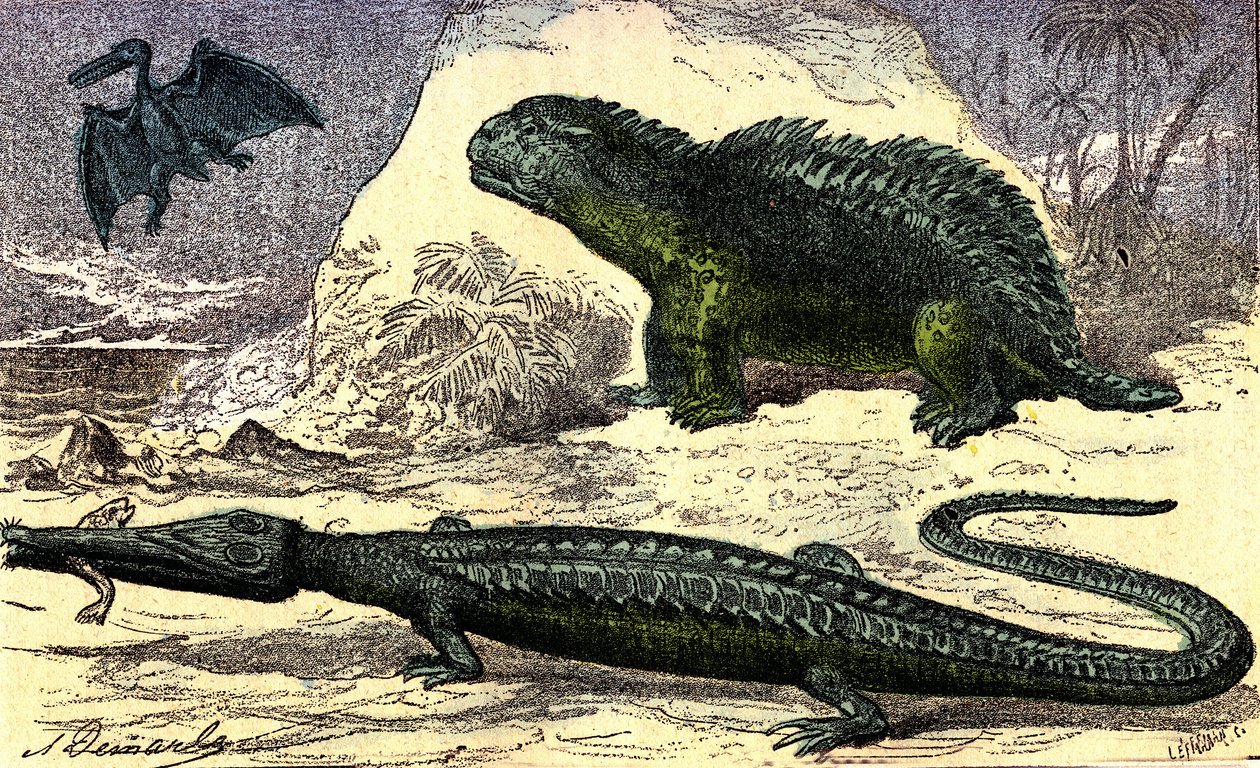 Prehistory - Jurassic Period: The Teleosaur and the Hyleosaur. The Pterodactyl upstairs. Natural Creation and Living Beings. Drawing by A. Demarle. 1885 by Alphonse Demarle