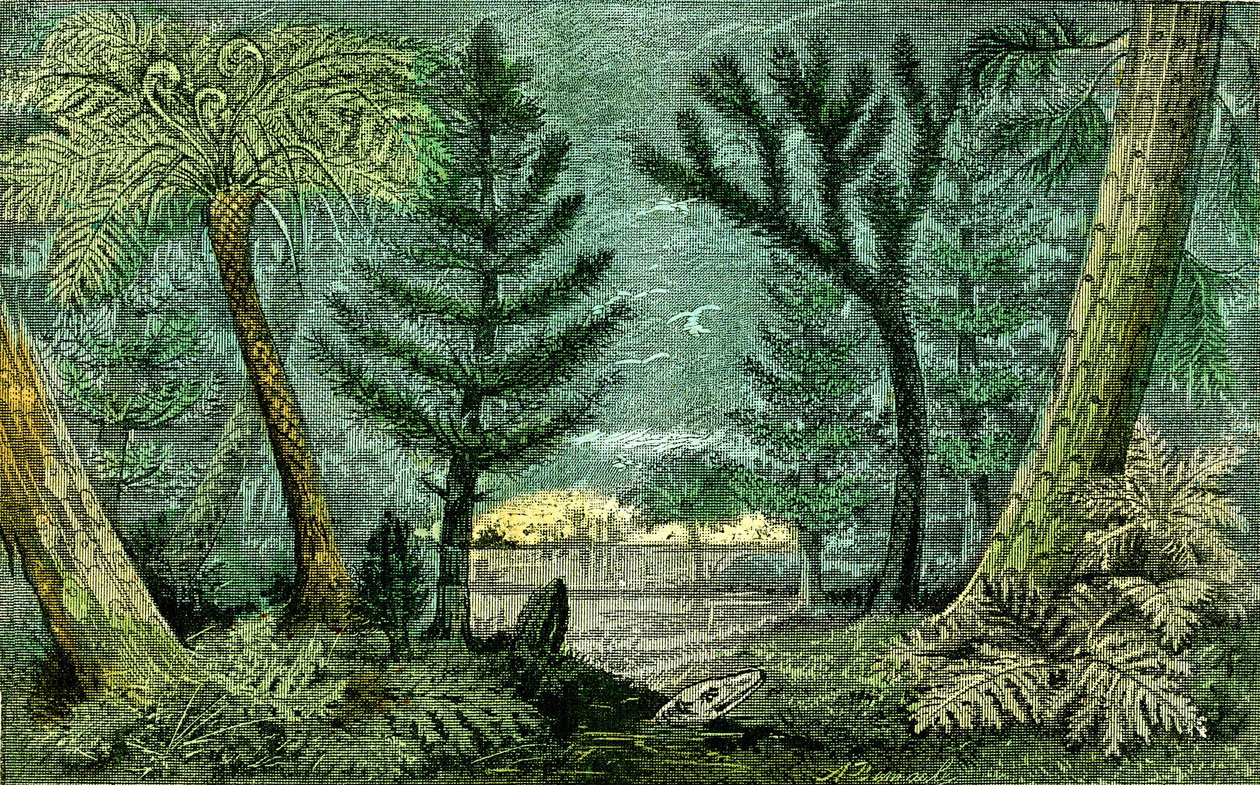 Prehistory, period of coal: Marecage and drill of the coal period by Alphonse Demarle