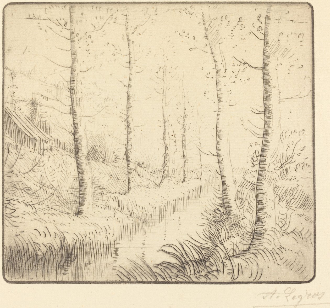 Birch Trees along the Water by Alphonse Legros