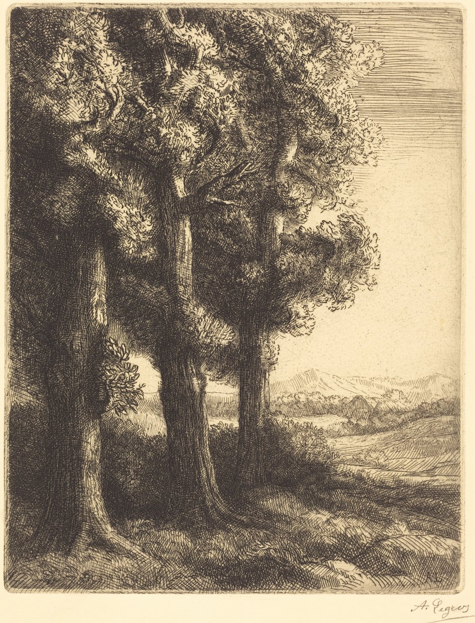Corner of a Wood by Alphonse Legros