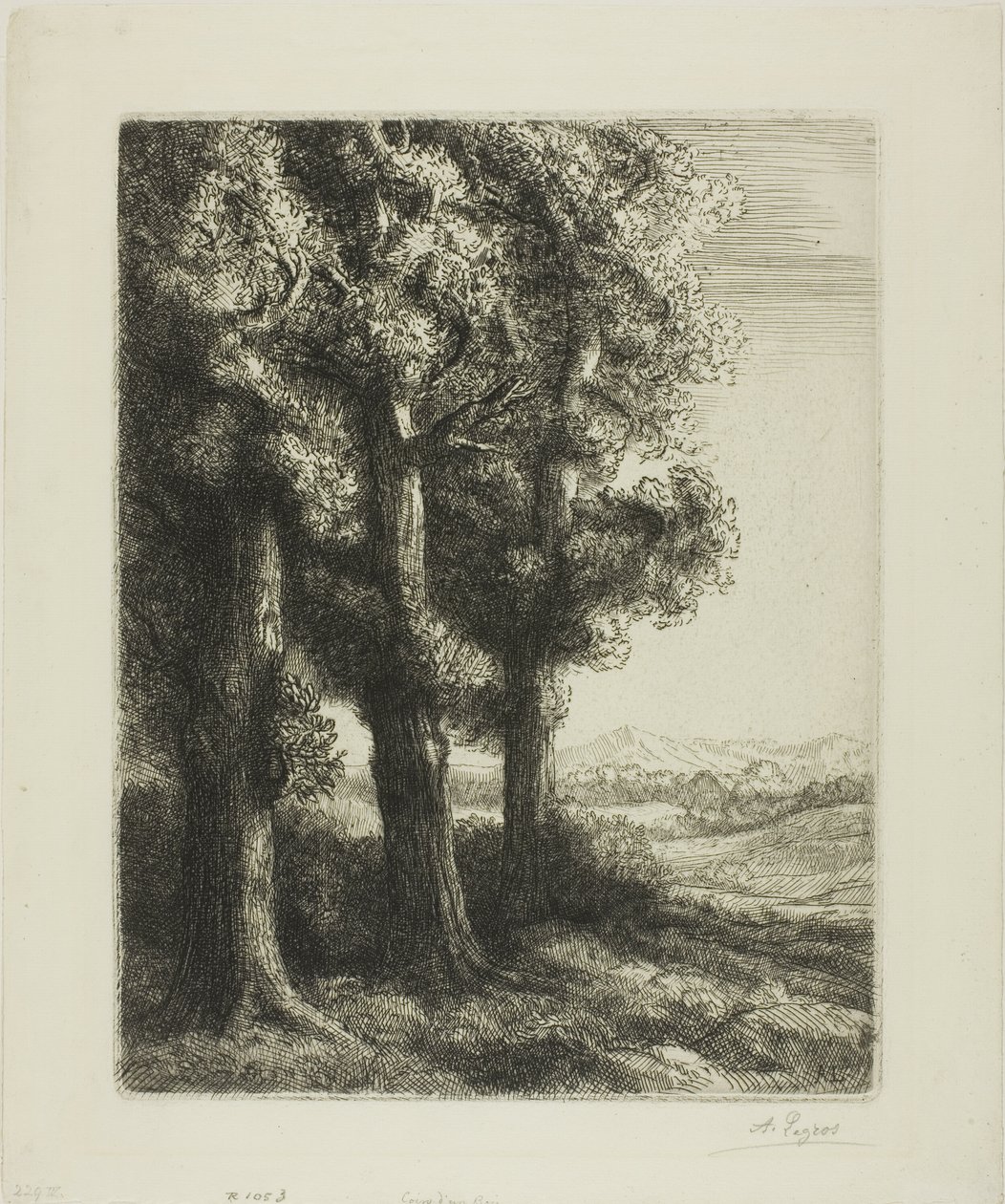 Edge of a Wood by Alphonse Legros