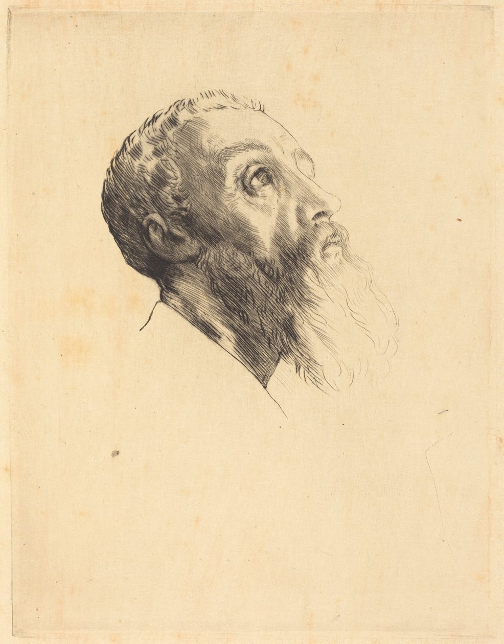 Head of a Model by Alphonse Legros