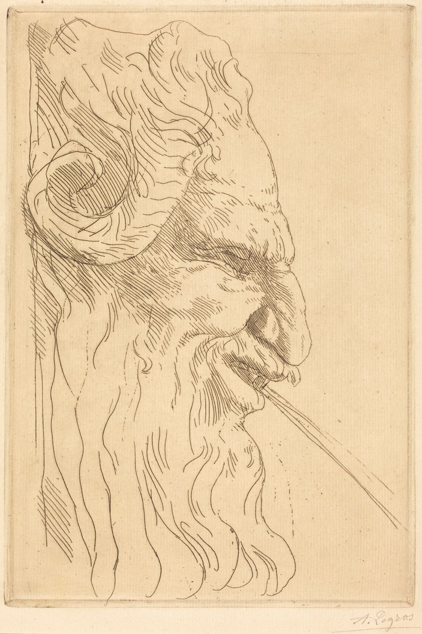 Head of a Satyr by Alphonse Legros