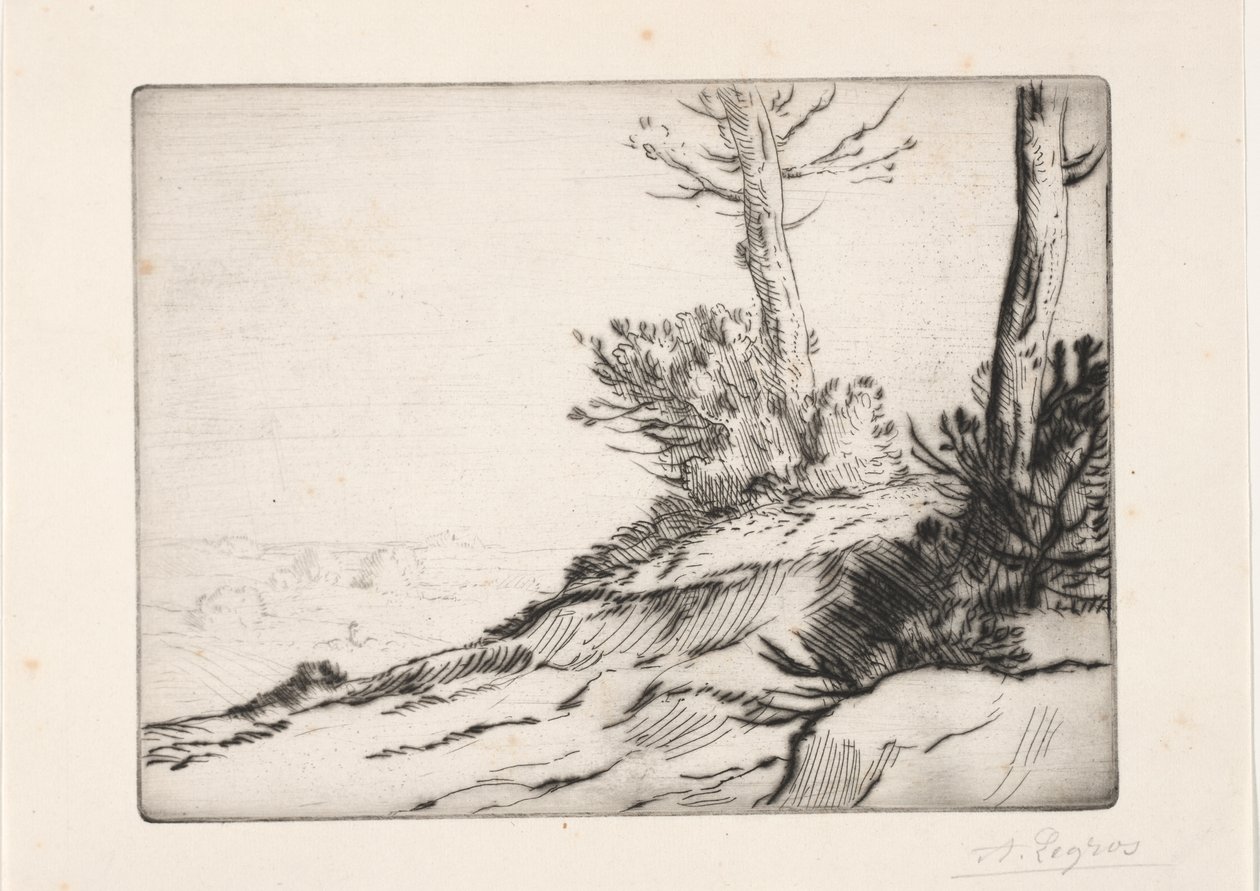 The Bushy Hill by Alphonse Legros