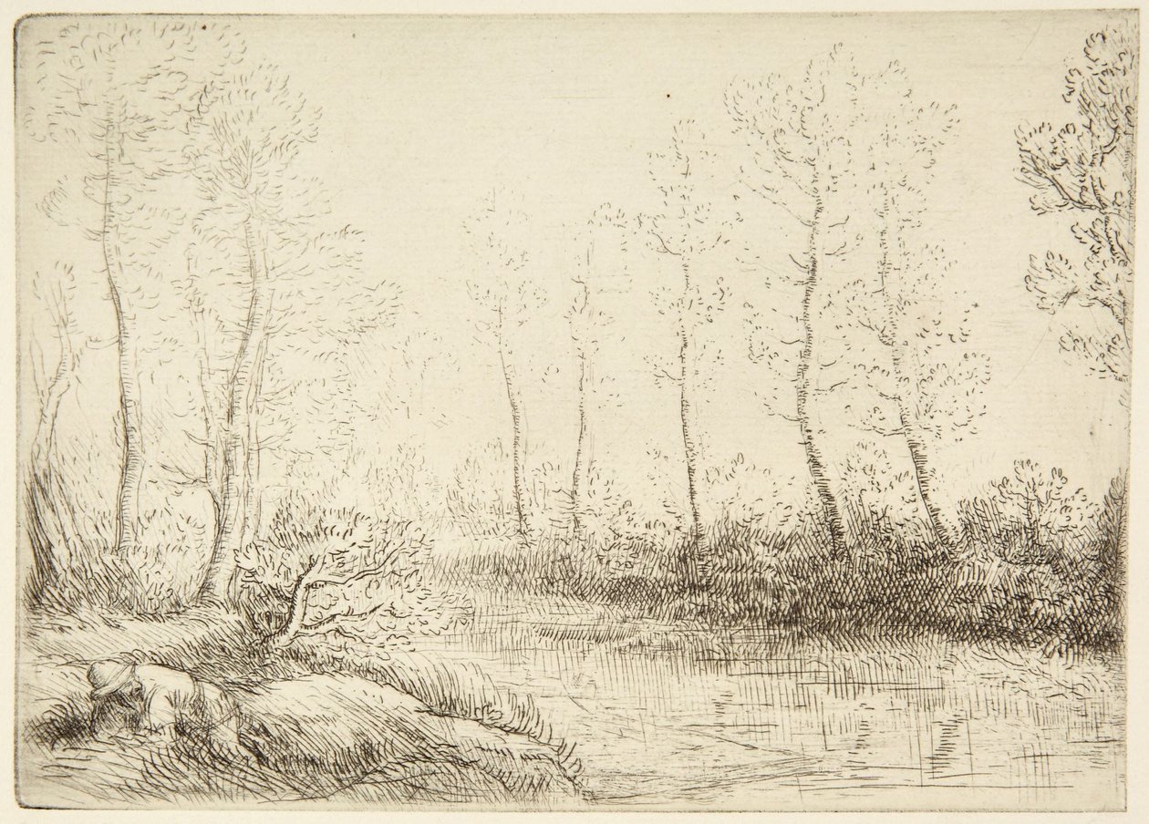 The Birches by Alphonse Legros