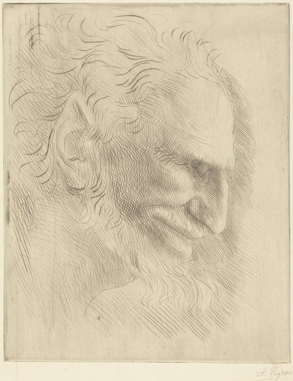 Study for the Head of a Man by Alphonse Legros