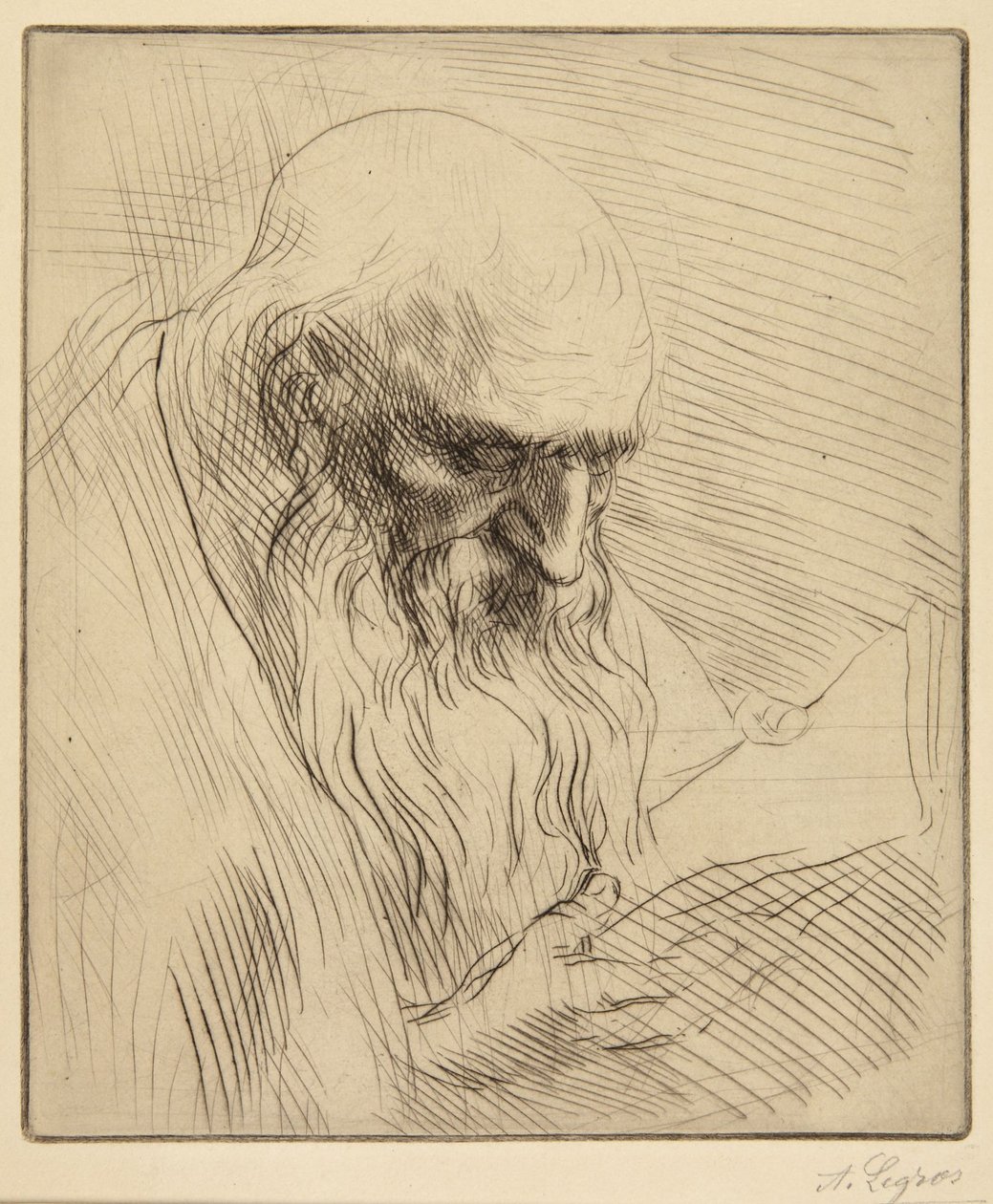 Study of Old Man Reading by Alphonse Legros