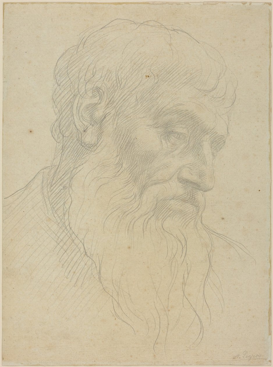 Study of a Head by Alphonse Legros