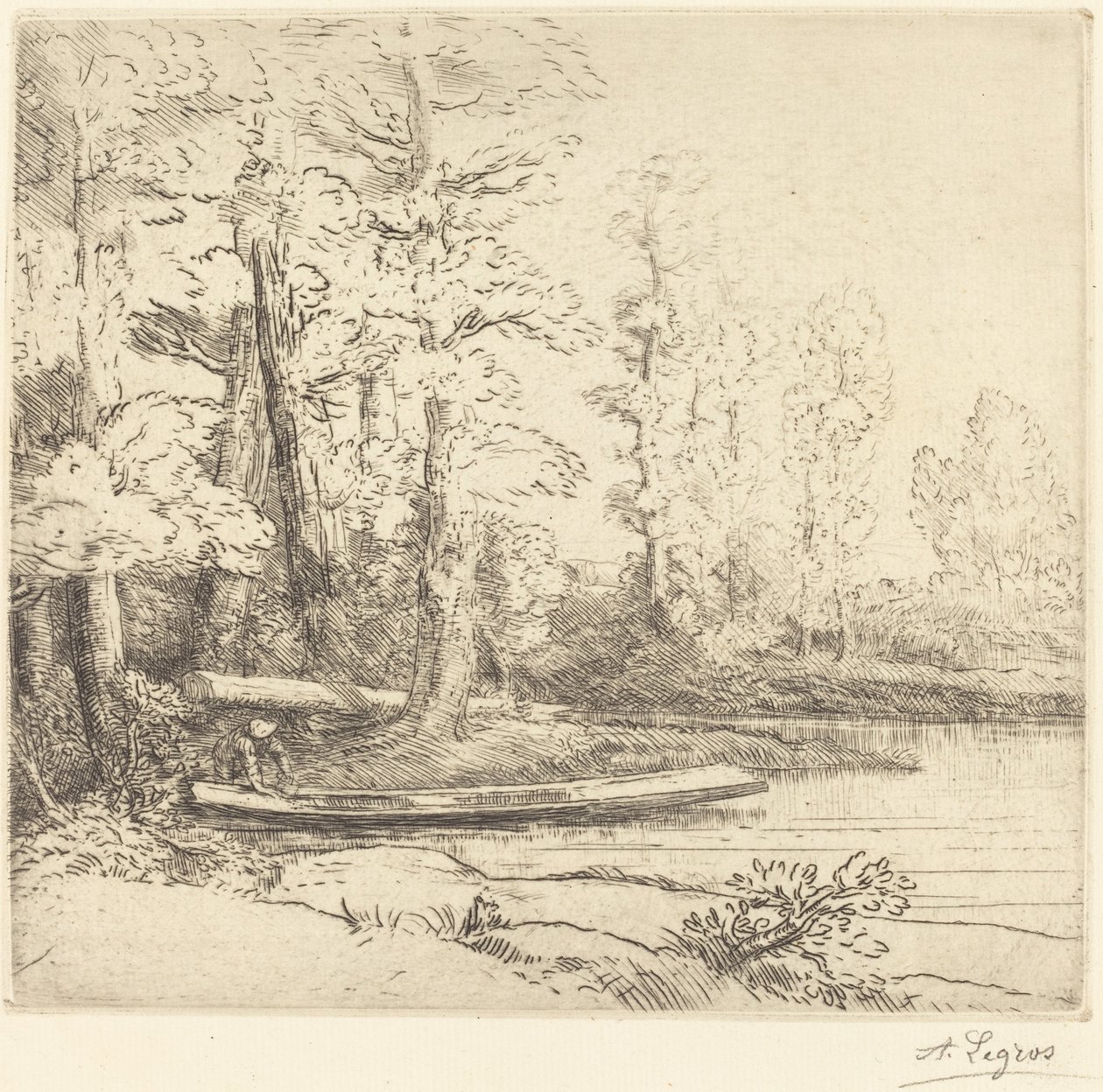 Trees at Water