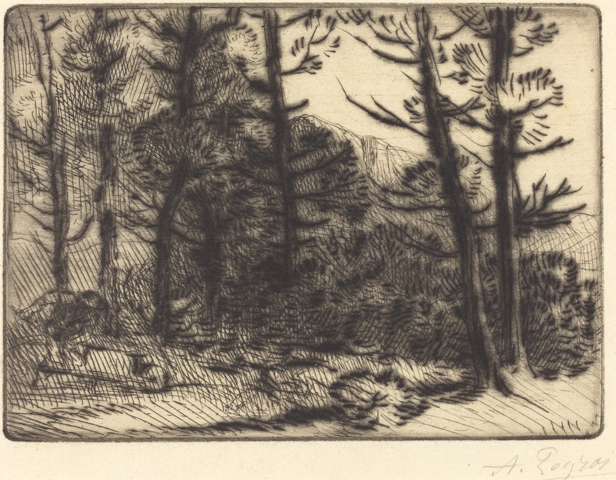 Woods in Winter Sun, 2nd plate by Alphonse Legros