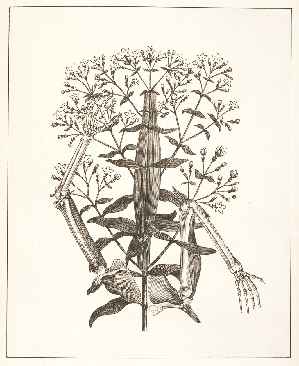 Illustration from 
