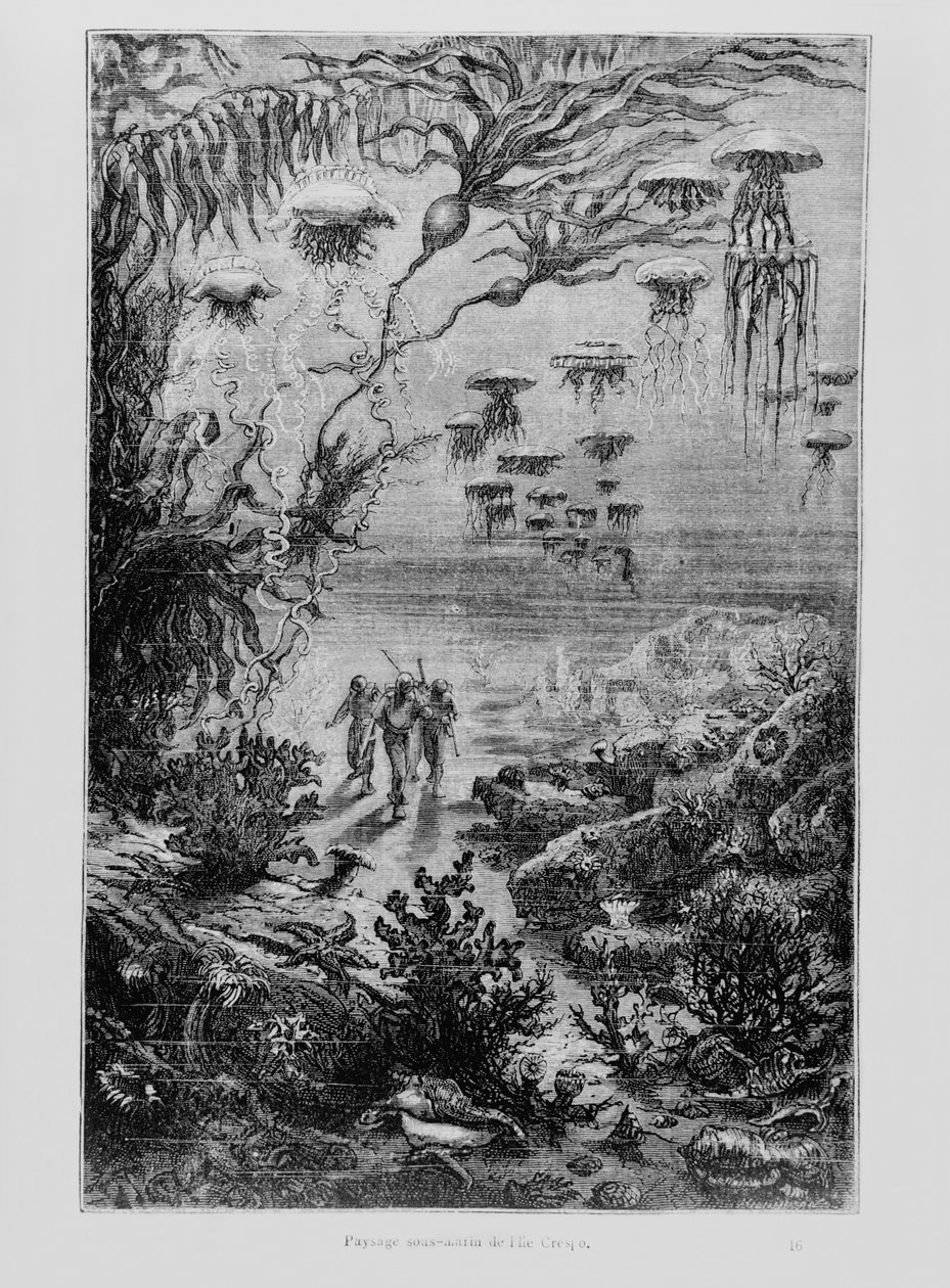 Illustration from 