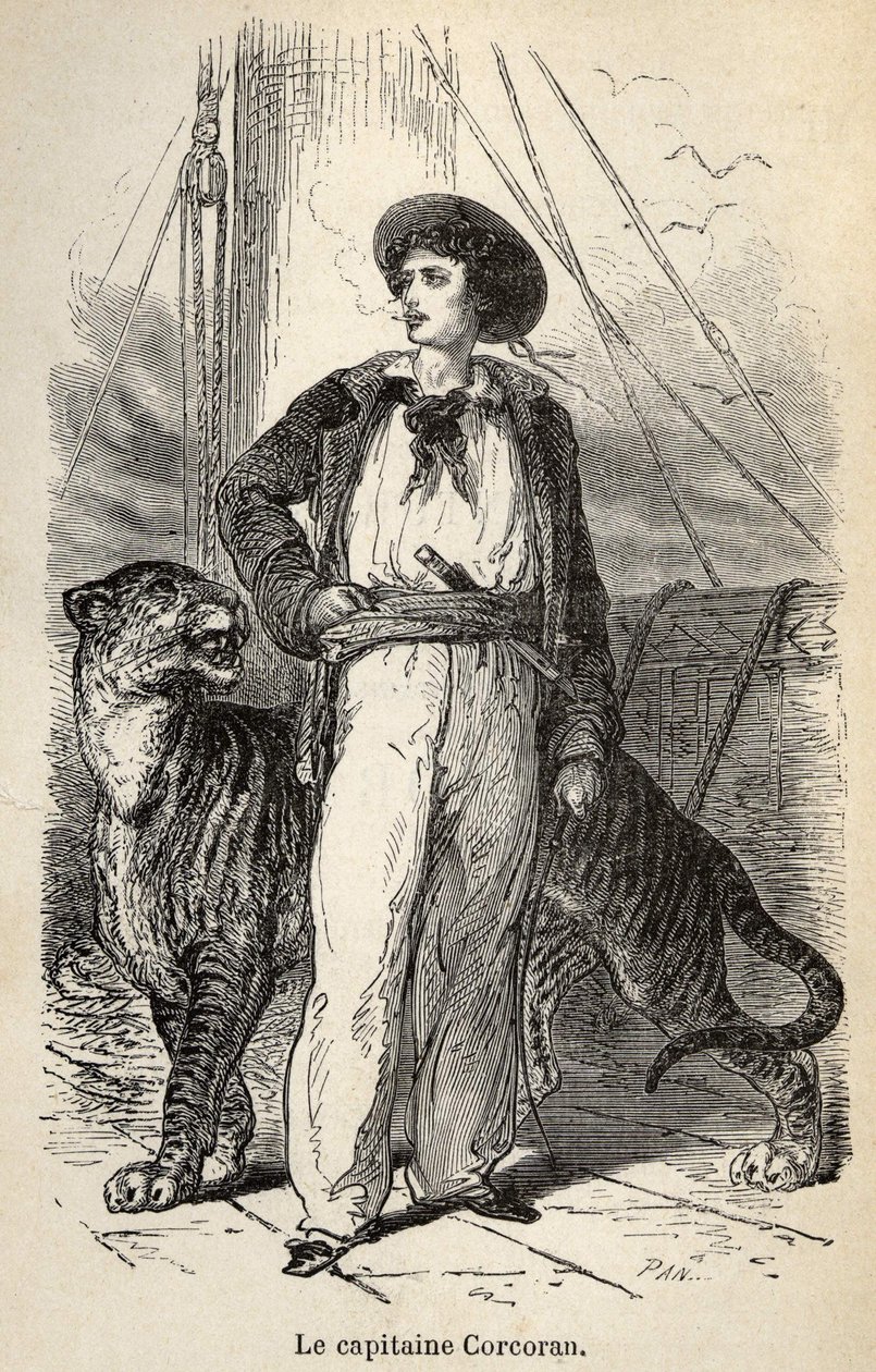 Illustration of the 